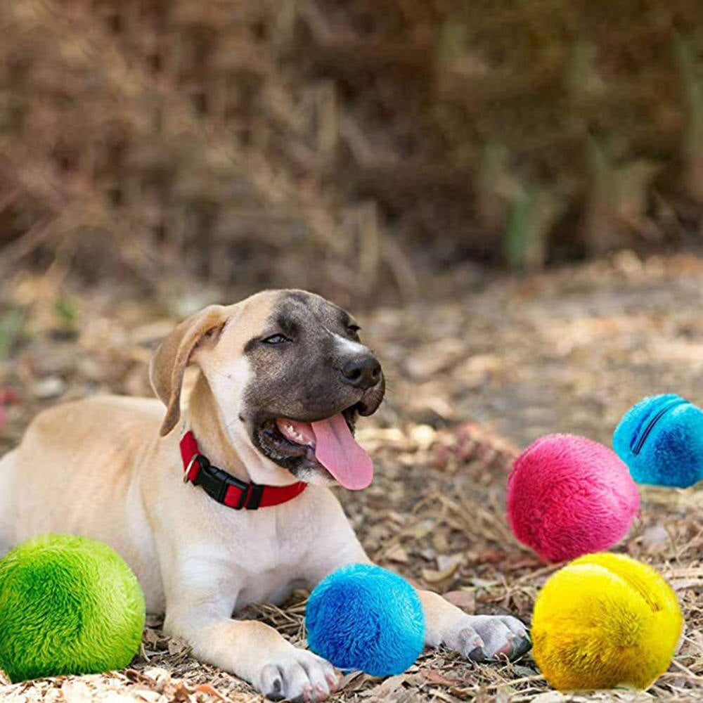 Aktiv rullende bold til kæledyr